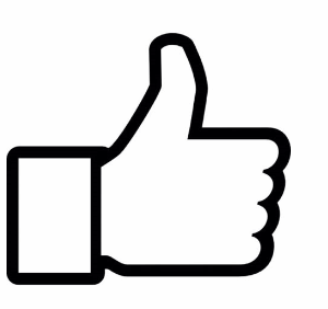 Social Media Management